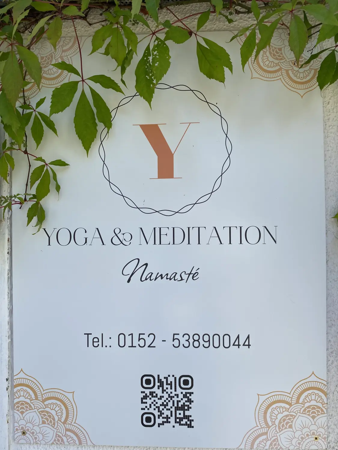 Yoga & Meditation